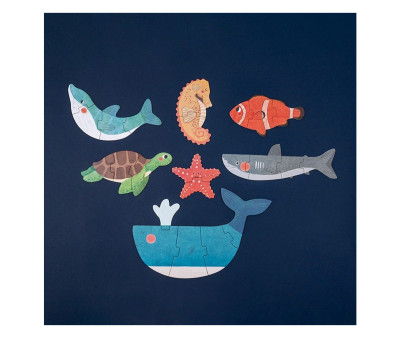 I miei Primi 7 Puzzle Progressivi Reversibili Blue