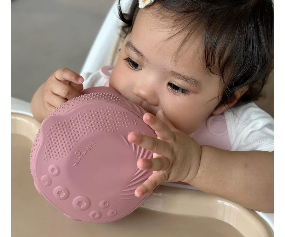 Cuenco de Silicona con Tapa y Ventosa Rasberry