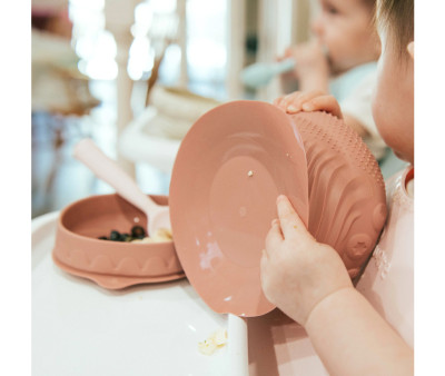 Cuenco de Silicona con Tapa y Ventosa Rasberry