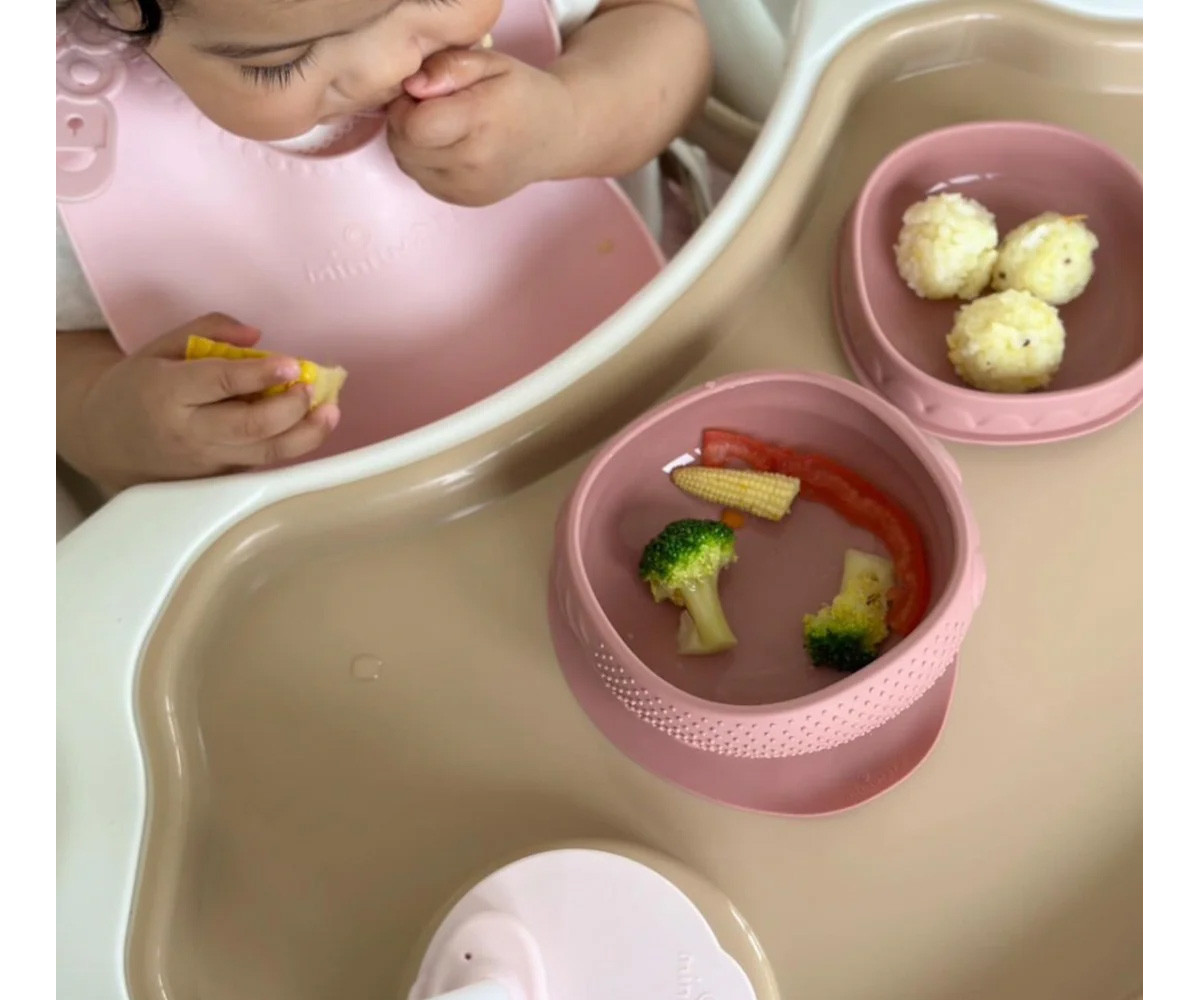 Cuenco de Silicona con Tapa y Ventosa Rasberry