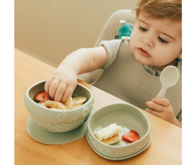 Cuenco de Silicona con Tapa y Ventosa Sage