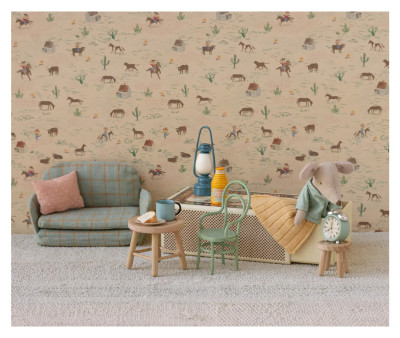 Hermano Pequeño Ratón en Caja de Cerillas