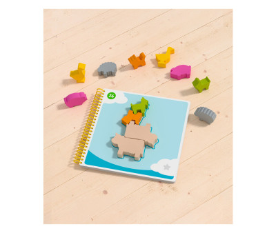 Juego de Lógica el País de las Nubes