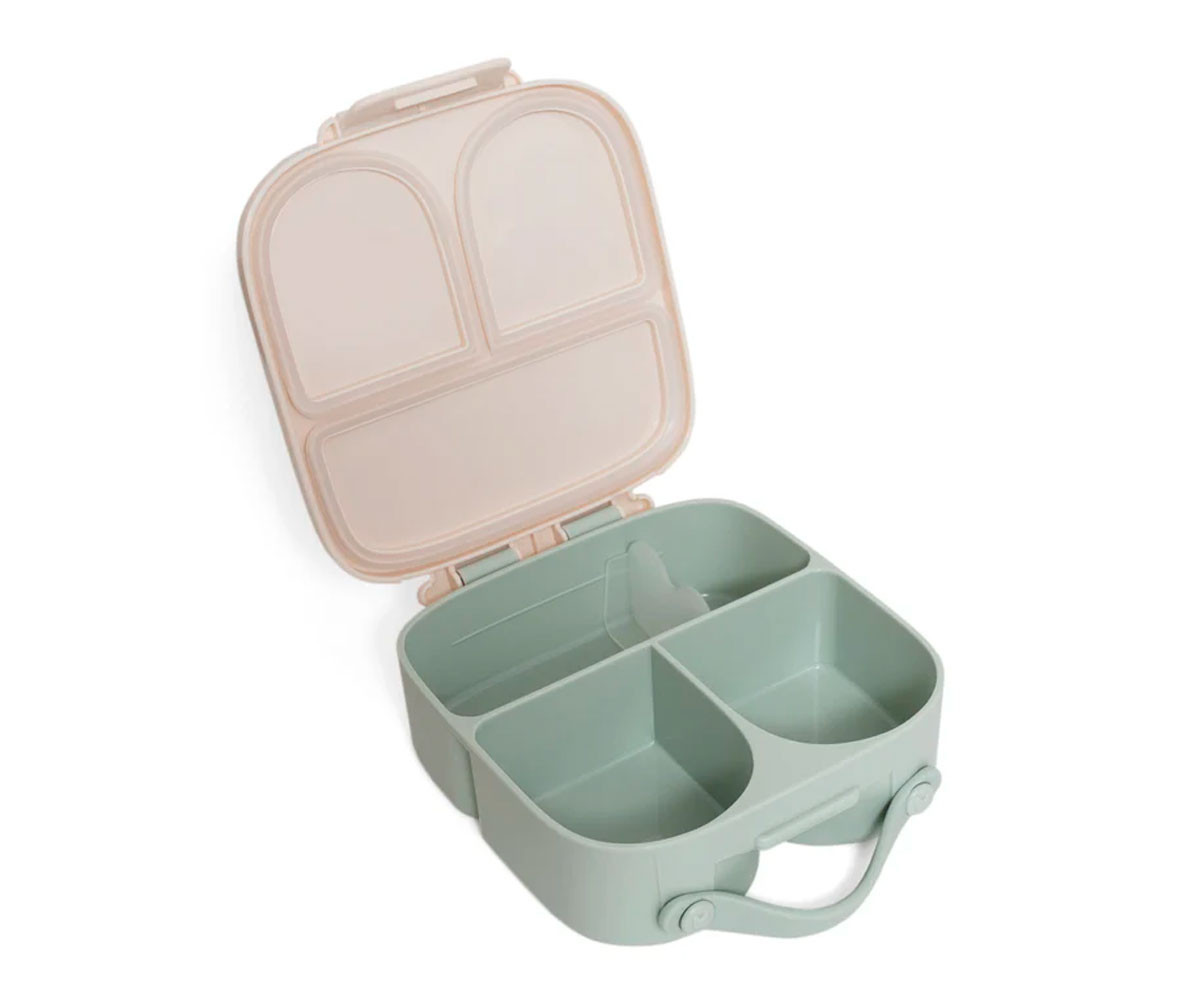 Lunch Box Bears and Stars