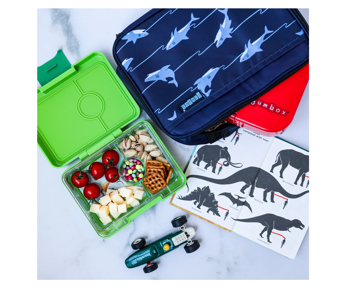 Caja Almuerzo Snack Jurassic Green Bandeja Shark 3 Compartimentos