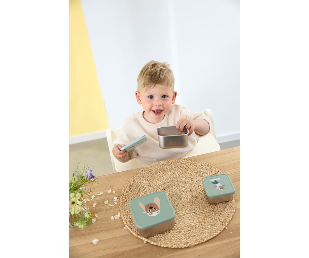 3 Cajitas Almuerzo Acero Tiny Team Dog