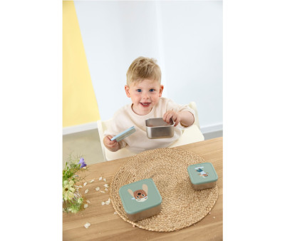 3 Cajitas Almuerzo Acero Tiny Team Dog