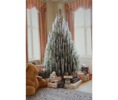 Ukelele FSC Bow Kitty