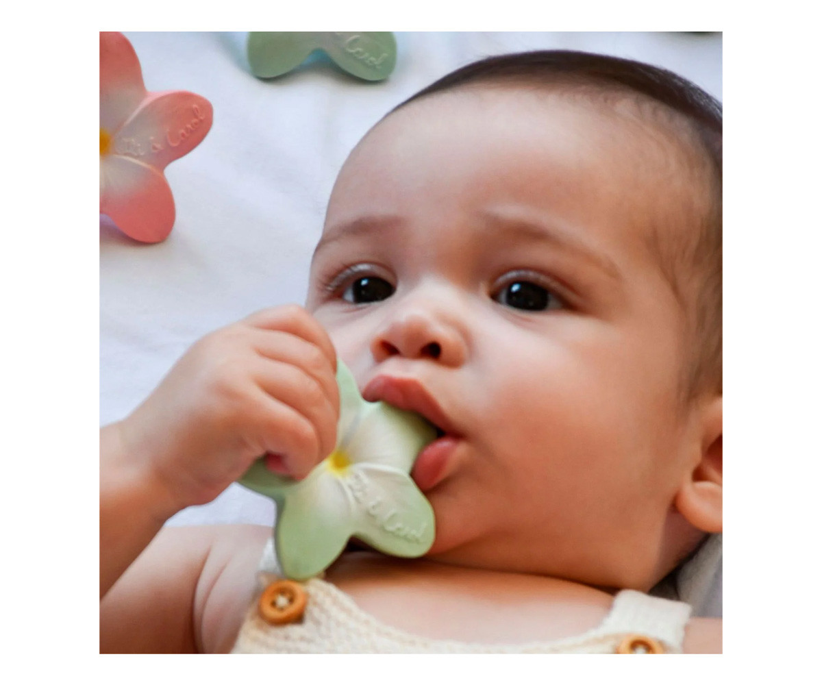 Confezione Regalo Newborn Grape & Flowers