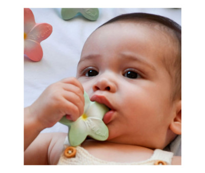 Confezione Regalo Newborn Grape & Flowers