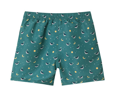 Bañador Boy Whale Teal