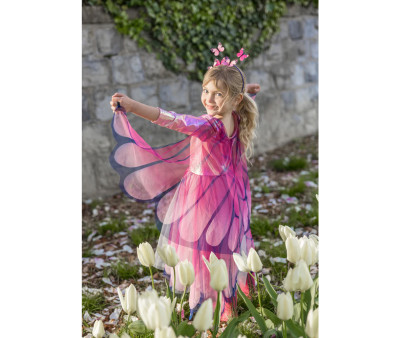 Disfraz Mariposa Alas y Diadema