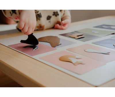 Juego Magnético "Animales del Bosque"