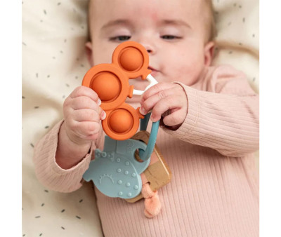 Anillo de Actividades Celebration Colour Mix