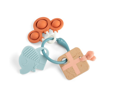 Anillo de Actividades Celebration Colour Mix