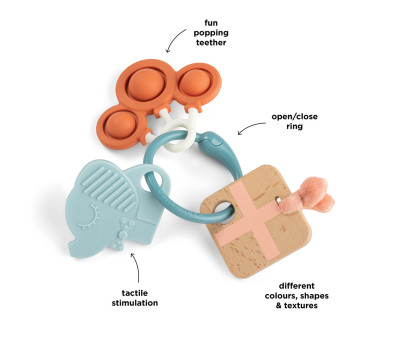 Anillo de Actividades Celebration Colour Mix