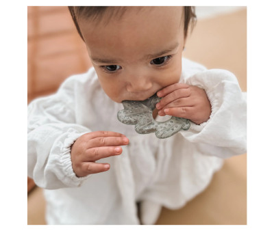 2 Dentarelli Refrigeranti Noüka Nature Forest