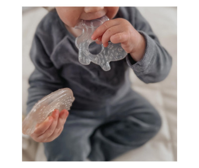 2 Cooling Teethers Nature Earth