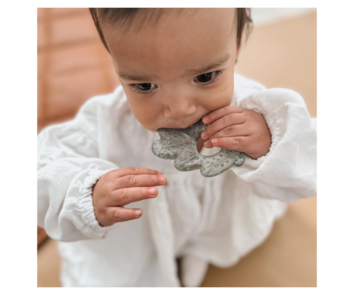 2 Cooling Teethers Nature Earth
