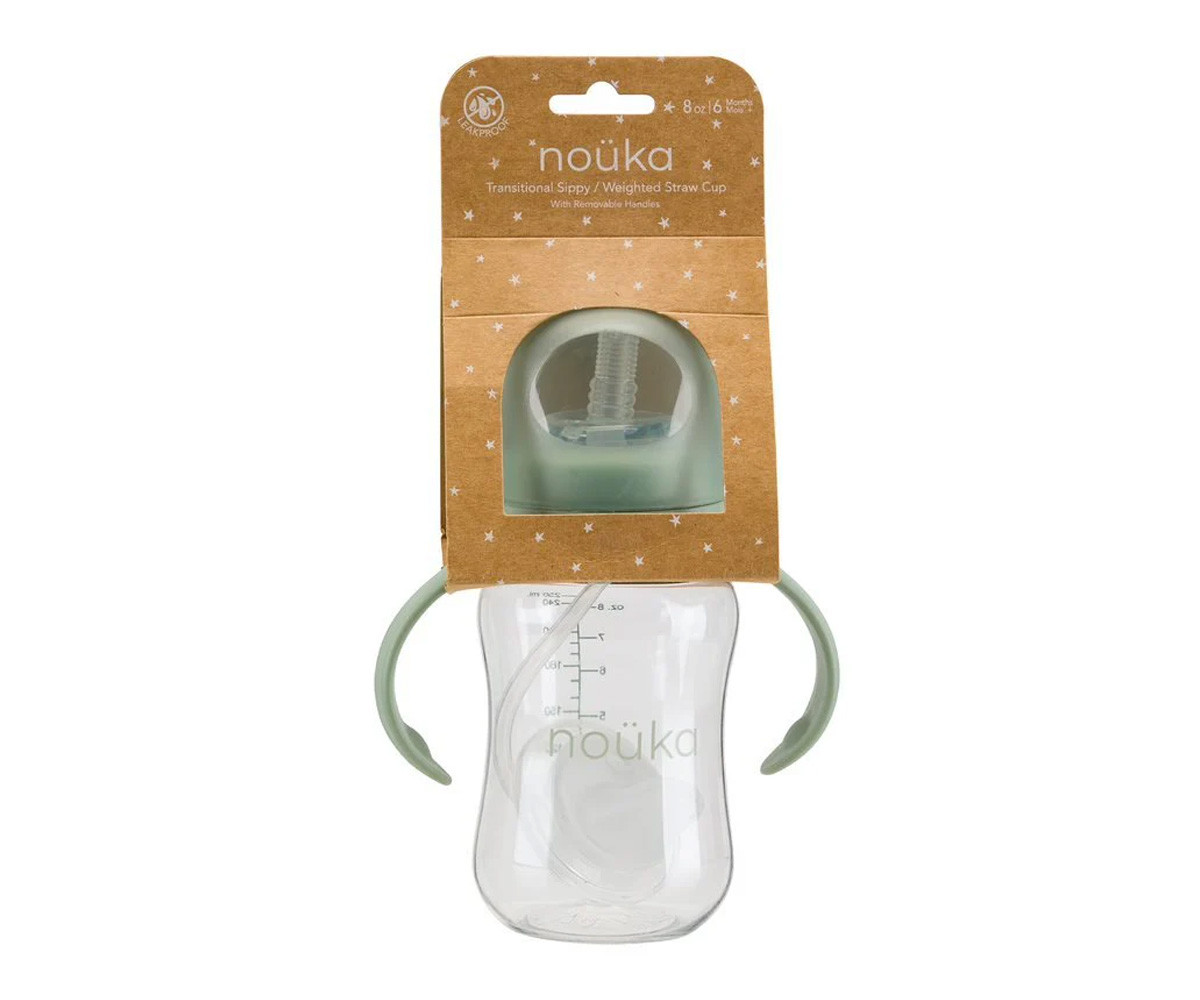 Taza Transitional con Pajita Flexible con Peso 240ml Fern