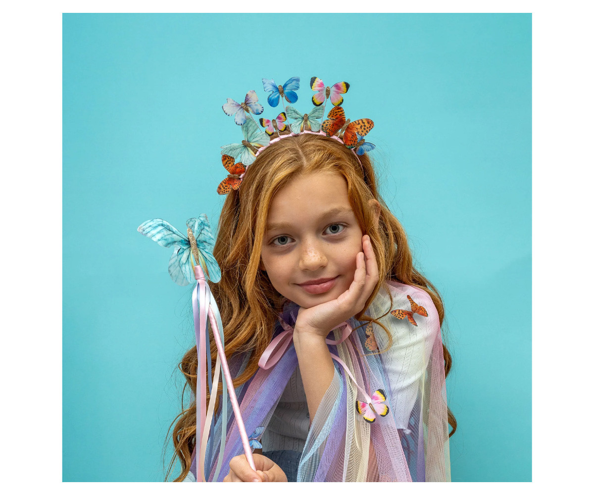 Diadema Butterfly