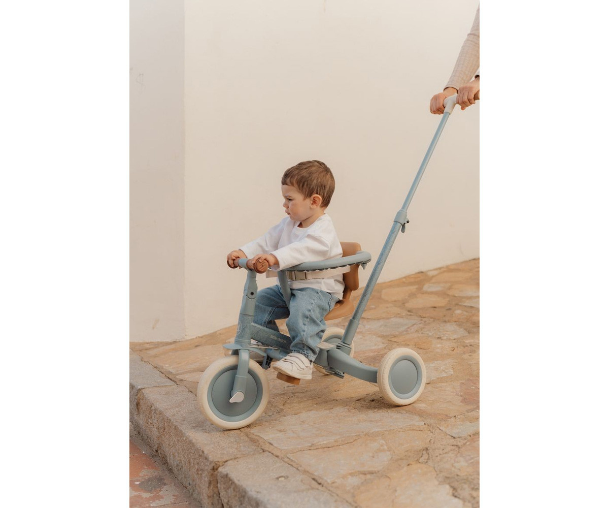 4-in-1 Tricycle with Push Bar Safari Dreams Blue