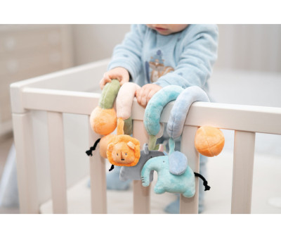 Spirale Attività Forest