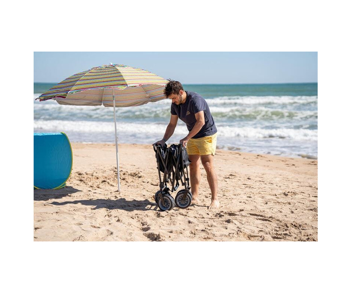 Carrito Multifuncional Plegable