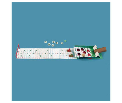 Gioco da Tavolo Tiny Game Snow Race