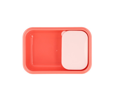 Bento Box Monneka Stripes Bloom & Blush