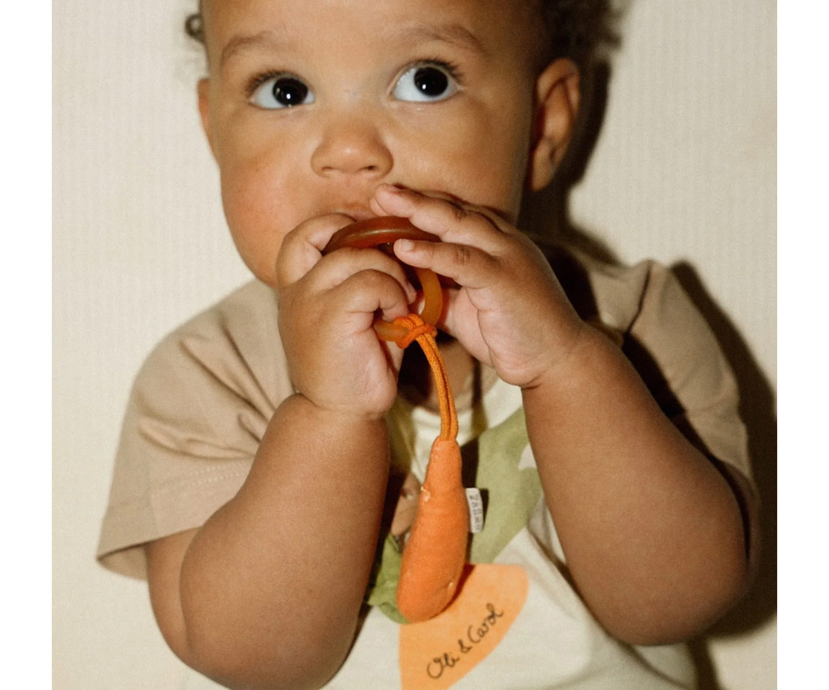 Portasucchietto Eco Cathy the Carrot