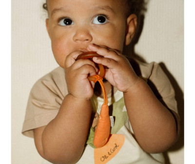 Portasucchietto Eco Cathy the Carrot