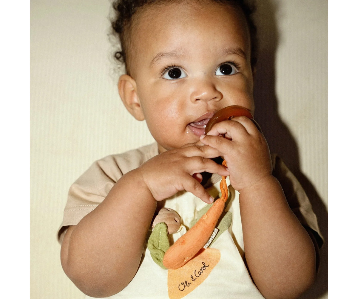 Portasucchietto Eco Cathy the Carrot