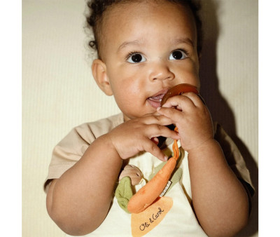 Portasucchietto Eco Cathy the Carrot