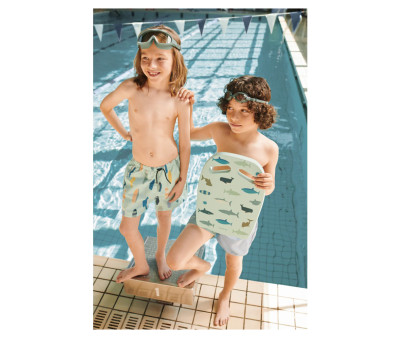 Tabla de Natación Hayden Shark/ Dove Blue