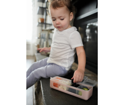 Snackle Box Pink 4 Scomparti