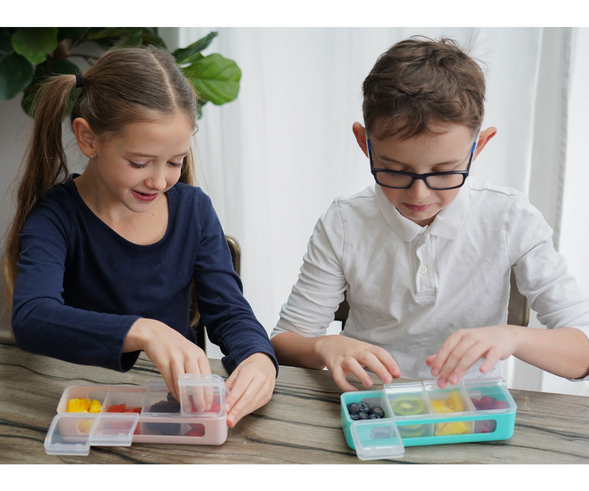 Snackle Box Pink 4 Scomparti