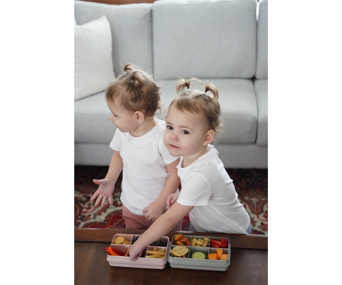 Snackle Box Pink 6 Scomparti