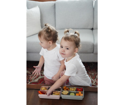 Snackle Box Pink 6 Scomparti