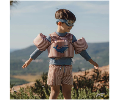 Bañador Short Ocean Brown Stripes