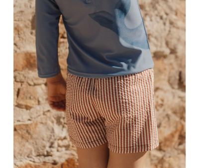 Bañador Short Ocean Brown Stripes