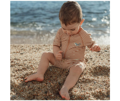 Bañador con Cremallera Ocean Brown Stripes