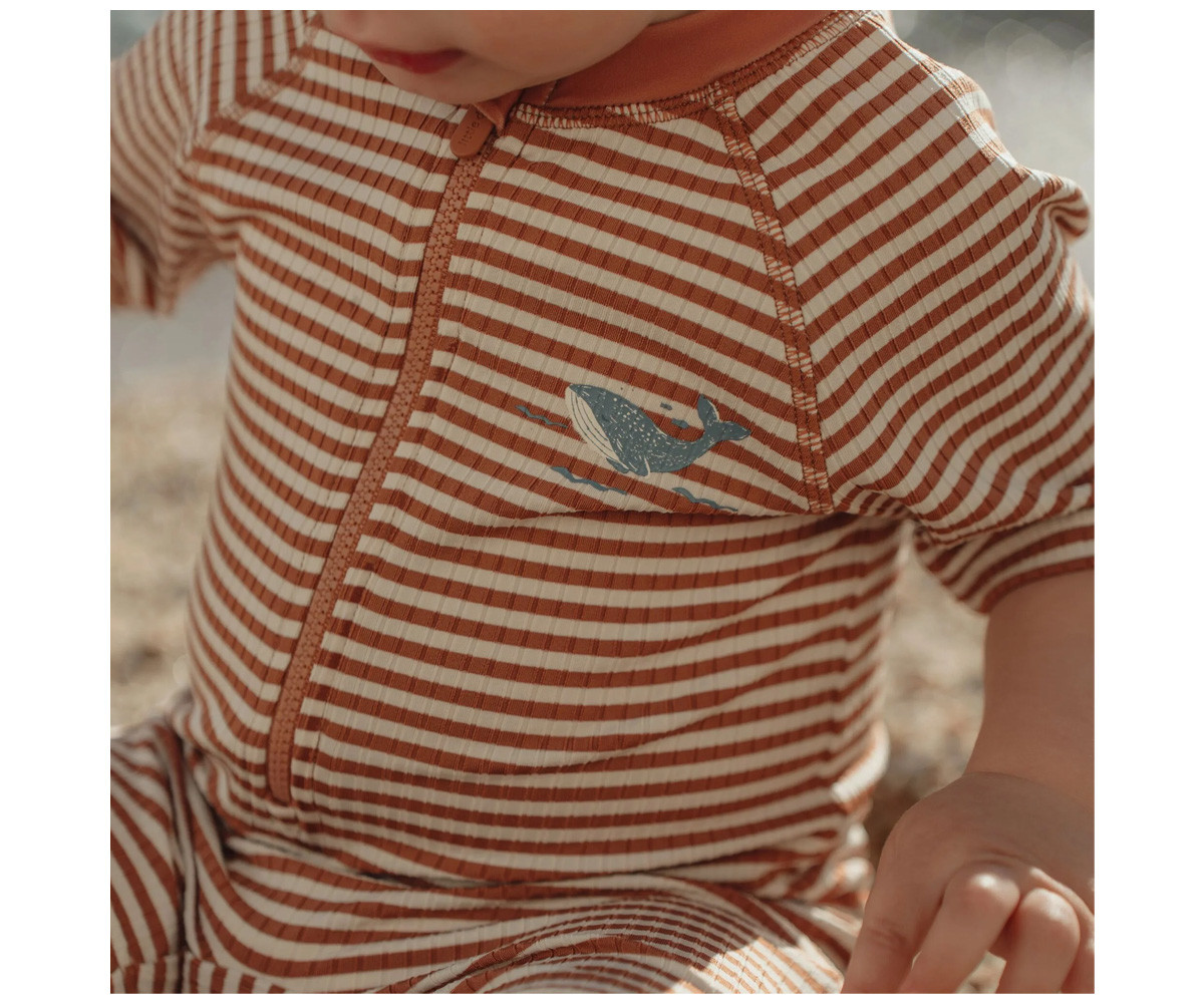 Bañador con Cremallera Ocean Brown Stripes