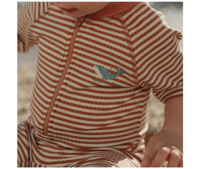 Bañador con Cremallera Ocean Brown Stripes