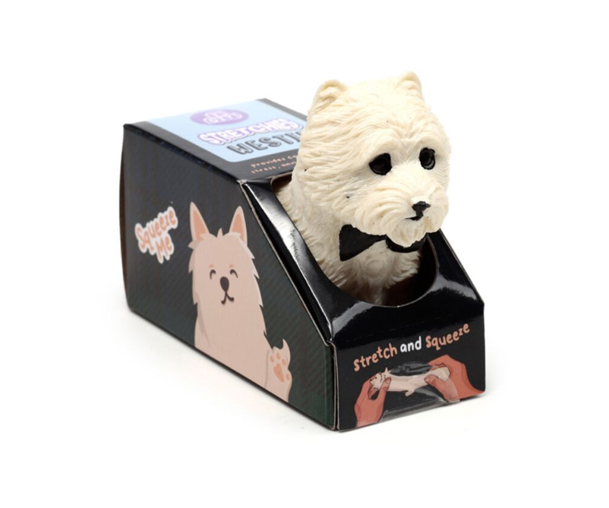 Juguete Aniestrés Elástico con Arena Terrier