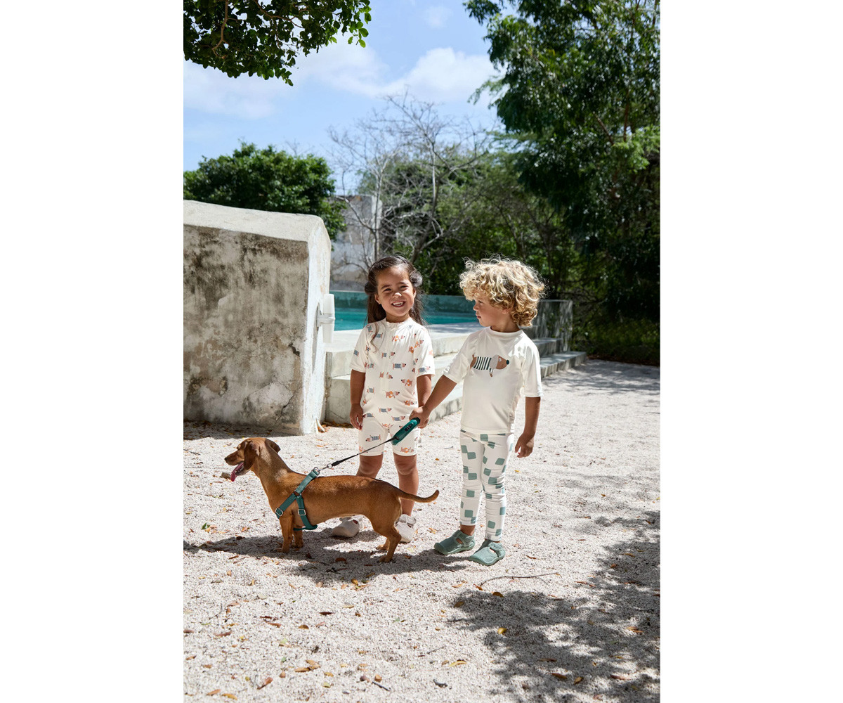 T-Shirt Nuoto MC Protezione Solare Beach Dog Sea Salt