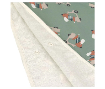 Poncho Mare Lassig Scooter Dog Green