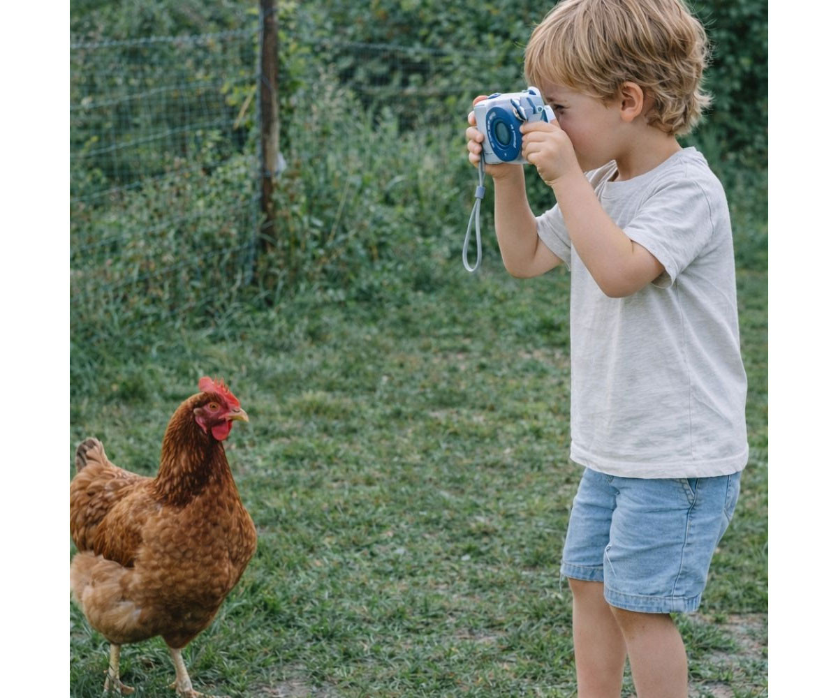 Cámara Digital de Impresión Zoo Raccoon