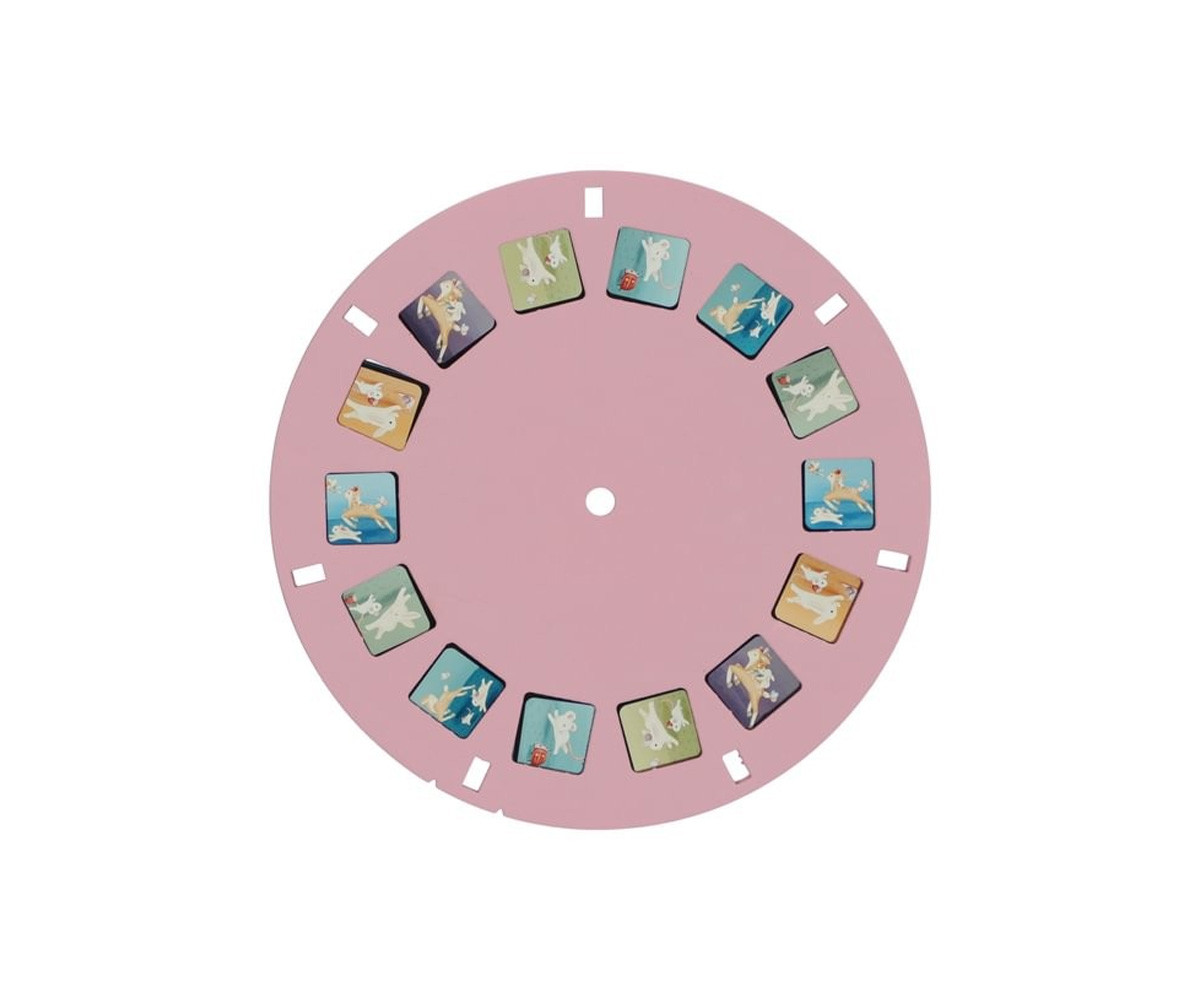 Visor de Historias Fairy Garden