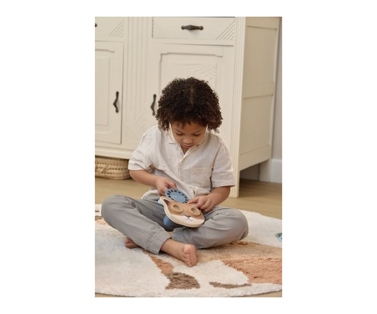 Visor de Historias Forest Friends